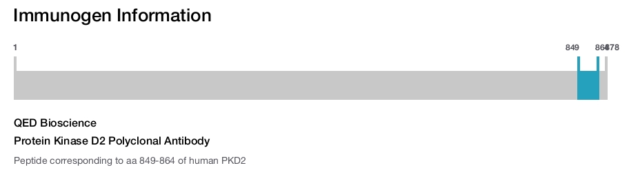 Protein Kinase D2 Polyclonal Antibody