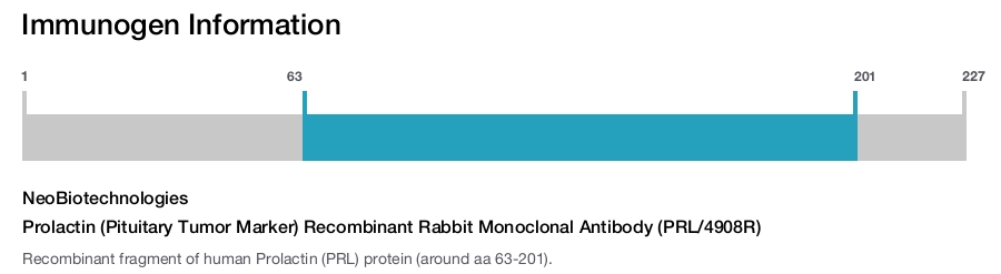 Prolactin (Pituitary Tumor Marker) Recombinant Rabbit Monoclonal Antibody (PRL/4908R)