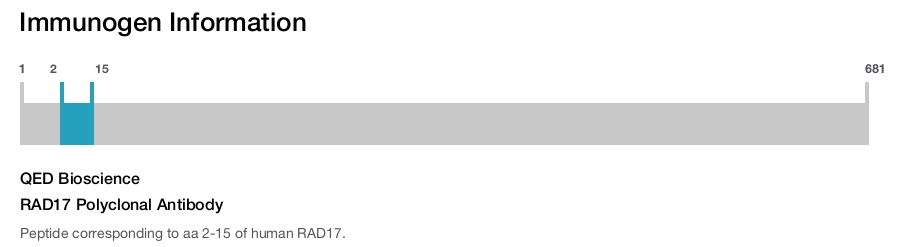 RAD17 Polyclonal Antibody