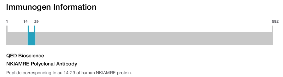NKIAMRE Polyclonal Antibody