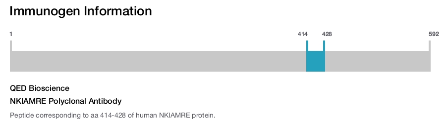 NKIAMRE Polyclonal Antibody