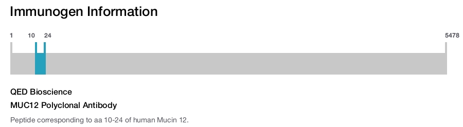 MUC12 Polyclonal Antibody