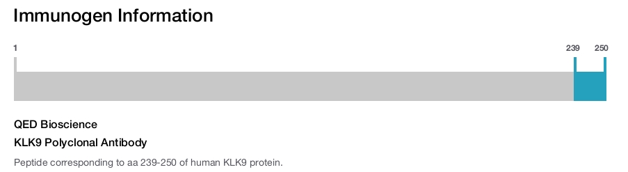 KLK9 Polyclonal Antibody