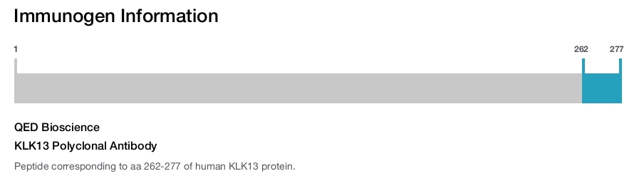 KLK13 Polyclonal Antibody