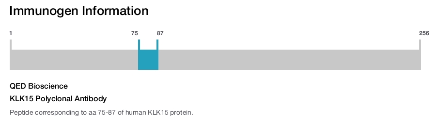 KLK15 Polyclonal Antibody