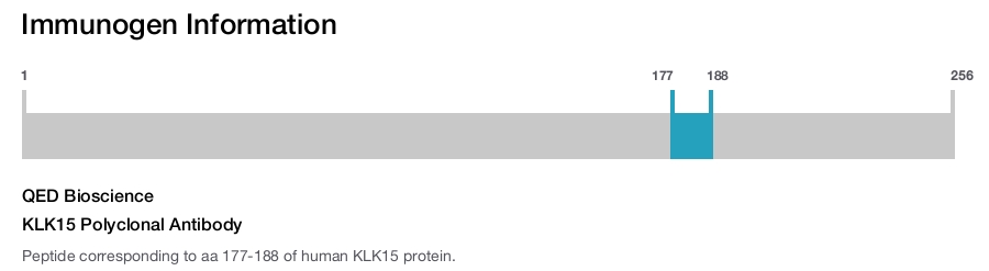 KLK15 Polyclonal Antibody