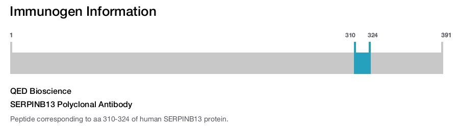 SERPINB13 Polyclonal Antibody