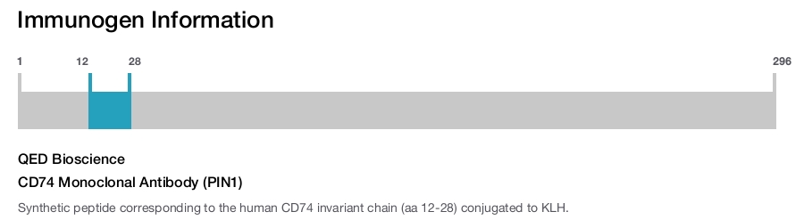 CD74 Monoclonal Antibody (PIN1)