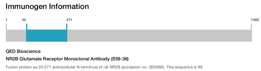 NR2B Glutamate Receptor Monoclonal Antibody (S59-36)