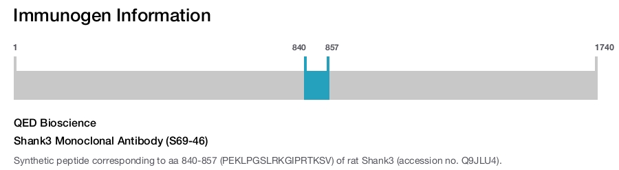 Shank3 Monoclonal Antibody (S69-46)