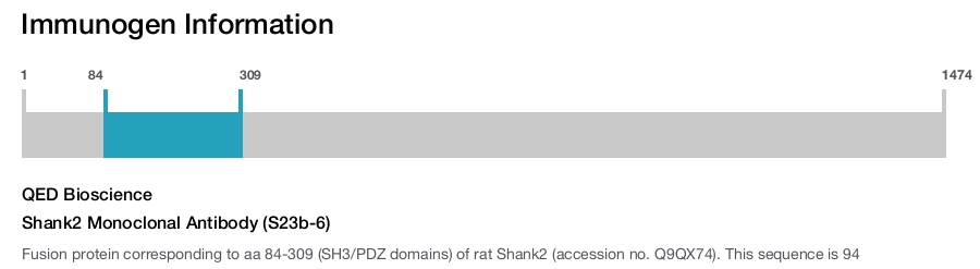 Shank2 Monoclonal Antibody (S23b-6)