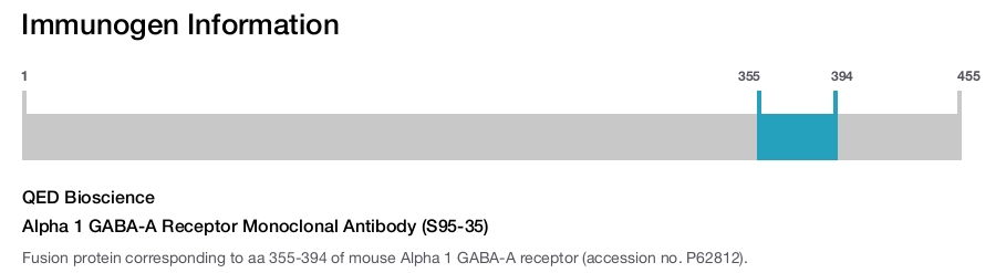 Alpha 1 GABA-A Receptor Monoclonal Antibody (S95-35)