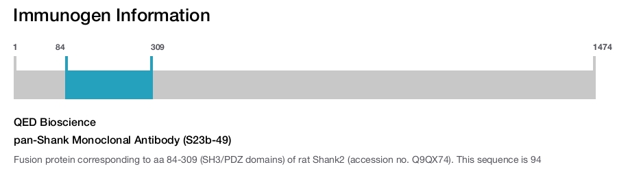pan-Shank Monoclonal Antibody (S23b-49)