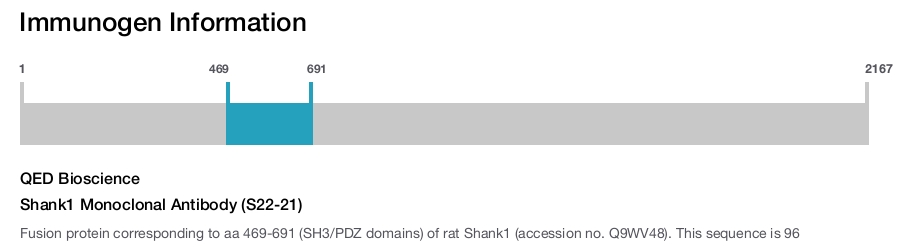 Shank1 Monoclonal Antibody (S22-21)