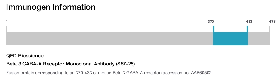 Beta 3 GABA-A Receptor Monoclonal Antibody (S87-25)