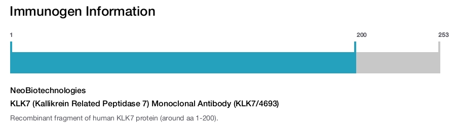 KLK7 (Kallikrein Related Peptidase 7) Monoclonal Antibody (KLK7/4693)