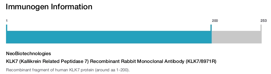 KLK7 (Kallikrein Related Peptidase 7) Recombinant Rabbit Monoclonal Antibody (KLK7/8971R)