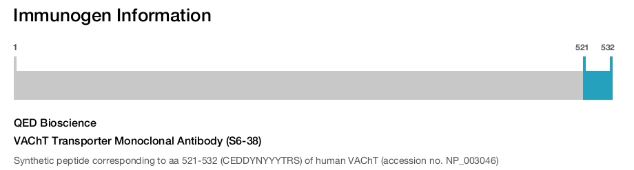 VAChT Transporter Monoclonal Antibody (S6-38)