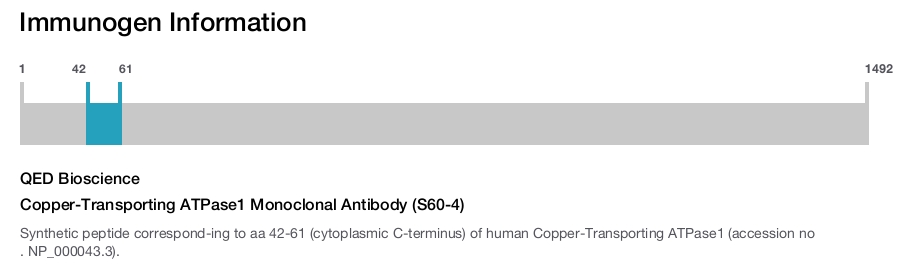 Copper-Transporting ATPase1 Monoclonal Antibody (S60-4)