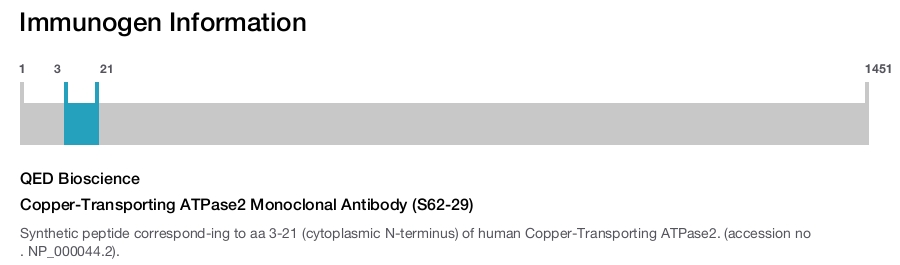 Copper-Transporting ATPase2 Monoclonal Antibody (S62-29)