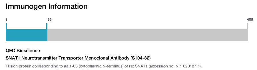 SNAT1 Neurotransmitter Transporter Monoclonal Antibody (S104-32)