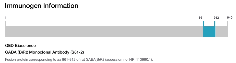 GABA (B)R2 Monoclonal Antibody (S81-2)