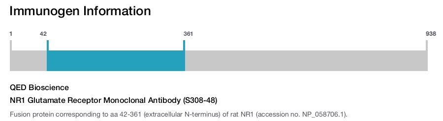 NR1 Glutamate Receptor Monoclonal Antibody (S308-48)