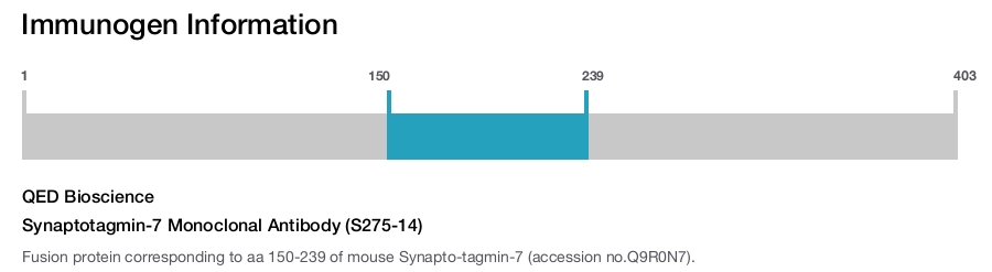 Synaptotagmin-7 Monoclonal Antibody (S275-14)
