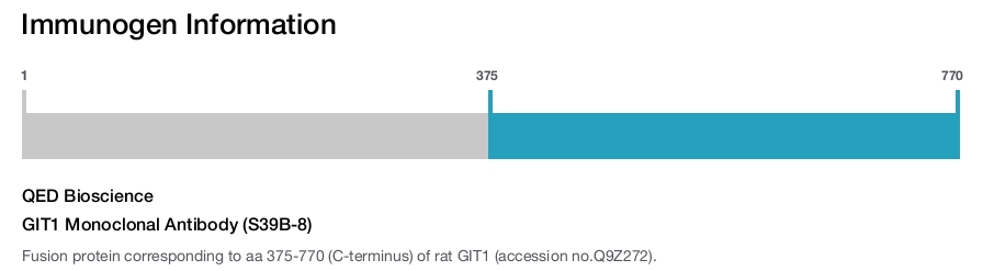 GIT1 Monoclonal Antibody (S39B-8)