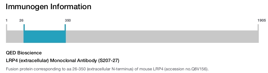 LRP4 (extracellular) Monoclonal Antibody (S207-27)