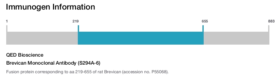 Brevican Monoclonal Antibody (S294A-6)