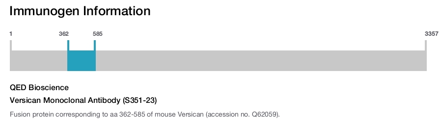 Versican Monoclonal Antibody (S351-23)