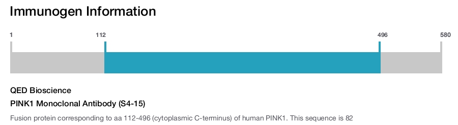 PINK1 Monoclonal Antibody (S4-15)
