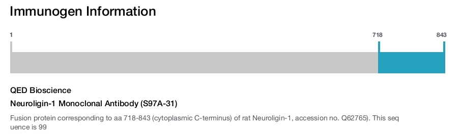 Neuroligin-1 Monoclonal Antibody (S97A-31)