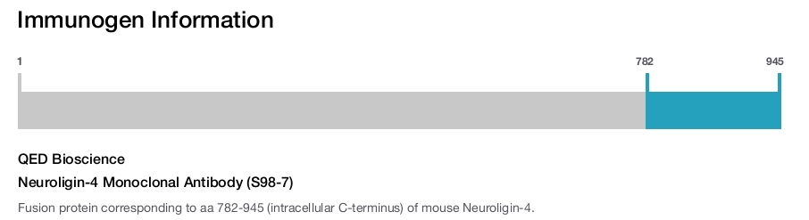 Neuroligin-4 Monoclonal Antibody (S98-7)