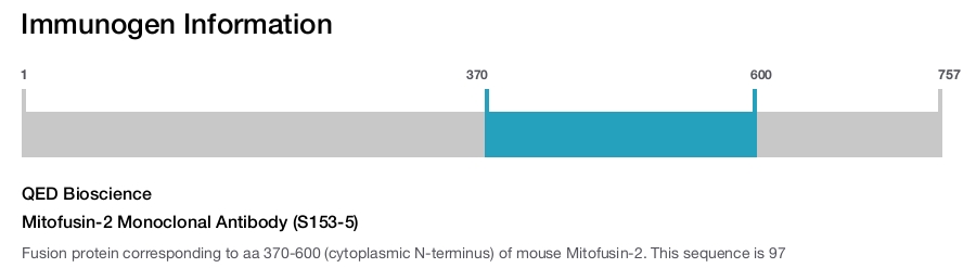 Mitofusin-2 Monoclonal Antibody (S153-5)