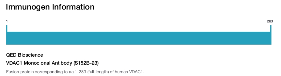 VDAC1 Monoclonal Antibody (S152B-23)
