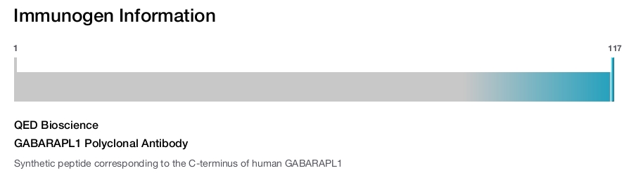 GABARAPL1 Polyclonal Antibody
