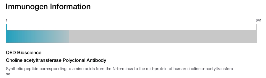 Choline acetyltransferase Polyclonal Antibody