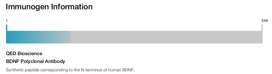 BDNF Polyclonal Antibody