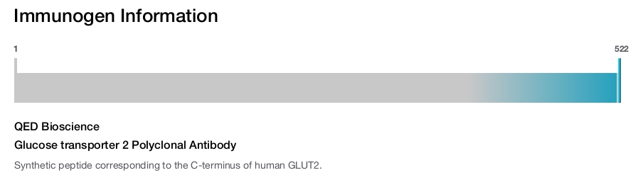 Glucose transporter 2 Polyclonal Antibody
