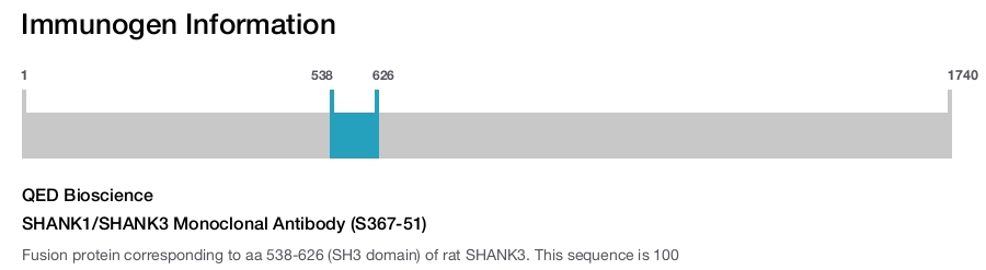 SHANK1/SHANK3 Monoclonal Antibody (S367-51)