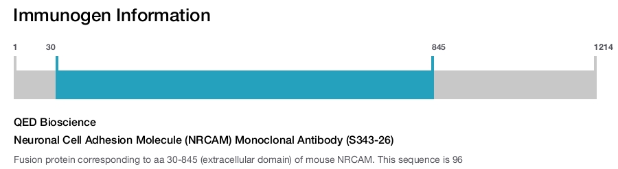 Neuronal Cell Adhesion Molecule (NRCAM) Monoclonal Antibody (S343-26)