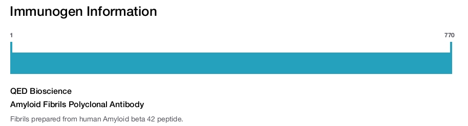 Amyloid Fibrils Polyclonal Antibody