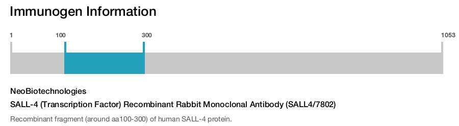 SALL-4 (Transcription Factor) Recombinant Rabbit Monoclonal Antibody (SALL4/7802)