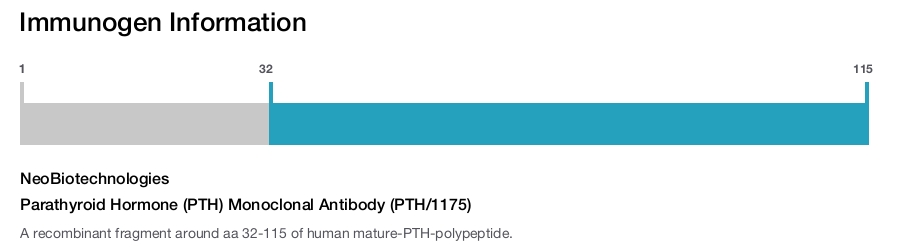 Parathyroid Hormone (PTH) Monoclonal Antibody (PTH/1175)