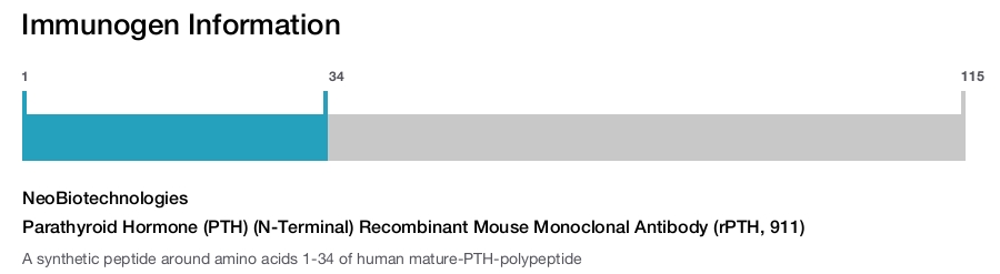 Parathyroid Hormone (PTH) (N-Terminal) Recombinant Mouse Monoclonal Antibody (rPTH, 911)