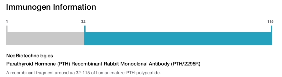 Parathyroid Hormone (PTH) Recombinant Rabbit Monoclonal Antibody (PTH/2295R)