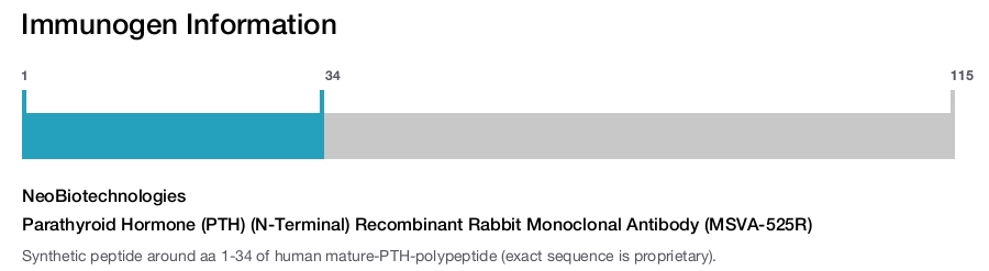 Parathyroid Hormone (PTH) (N-Terminal) Recombinant Rabbit Monoclonal Antibody (MSVA-525R)