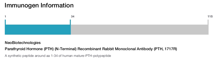 Parathyroid Hormone (PTH) (N-Terminal) Recombinant Rabbit Monoclonal Antibody (PTH, 1717R)